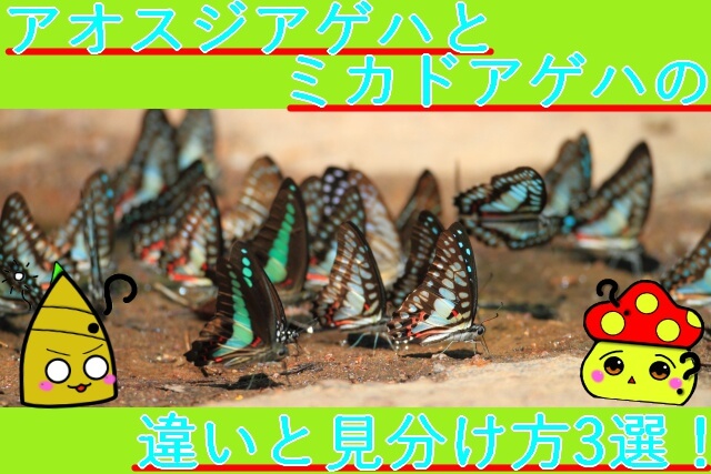 Thumbnail of post image 196